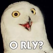 I75C4113D1337's profile picture. They are just memes. They can't hurt you.