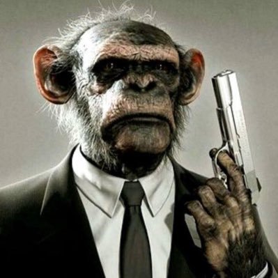 DanielMThunder's profile picture. 