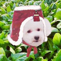 nos 🥬 บันทึกการอ่านถูกลิขสิทธิ์ (busy🚨) (@nostalgia520) 's Twitter Profile Photo nos 🥬 บันทึกการอ่านถูกลิขสิทธิ์ (busy🚨) (@nostalgia520) 's Twitter Profile Photo
