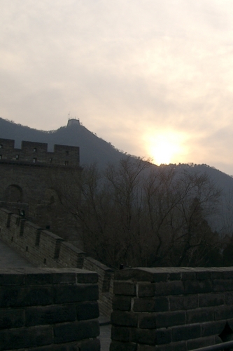 moa999's profile picture. Finance industry. Proud Sydney resident. Love my sport - Aussie Rules, Cricket, Rugby Union and F1. Scuba diver and skier.