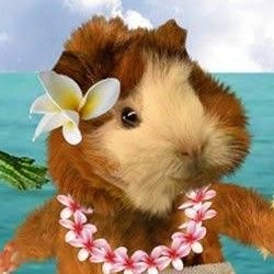 ConSdgy's profile picture. 