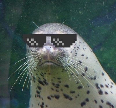 Hachikuro_896's profile picture. 飯画像とアークナイツとゼンゼロ
たまに動物写真と美プラ