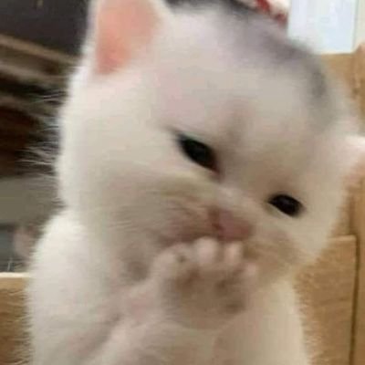 NusratJahan1439's profile picture. I am a digital marketer