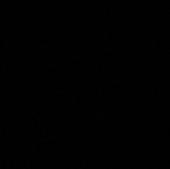 PrakarshJayswal's profile picture. 