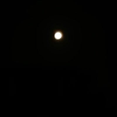 jp000100's profile picture. こんにちは😊