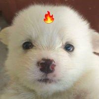 109 (@kimnwin) 's Twitter Profile Photo 109 (@kimnwin) 's Twitter Profile Photo