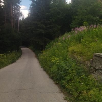 Yapa_bio_foods's profile picture. Y'll be back... to your genera