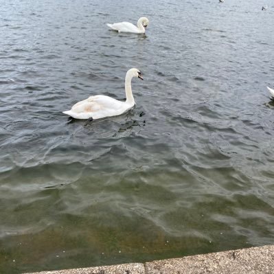 Garcia162530's profile picture. 