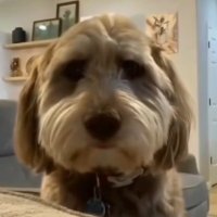 quayle (@quayledd) 's Twitter Profile Photo quayle (@quayledd) 's Twitter Profile Photo