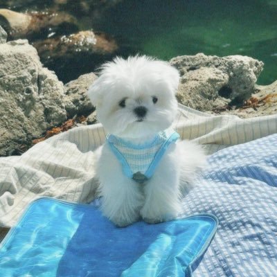 jan2836's profile picture. 