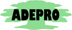 Adeproempleo's profile picture. Asociación sin ánimo de lucro que promueve actuaciones para el desarrollo y promoción social.