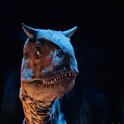 PandaManDapio83's profile picture. El niño-señor