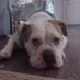 Margaret Quinney (@061d1c7d7bfb4be) Twitter profile photo Margaret Quinney (@061d1c7d7bfb4be) Twitter profile photo