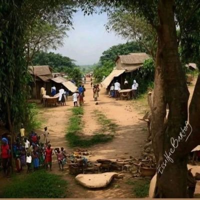 koryom1159's profile picture. 