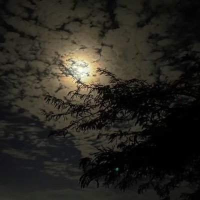 ls5rs's profile picture. 