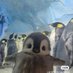 P (@therealp3nguin) Twitter profile photo
