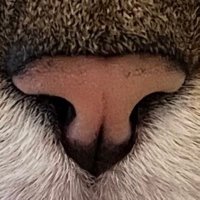 Rain K (@skywalkerr10k) 's Twitter Profile