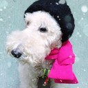 Ivory Lee - @ivory0912 - Twitter