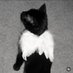 Neli (@saintnelz) Twitter profile photo Neli (@saintnelz) Twitter profile photo