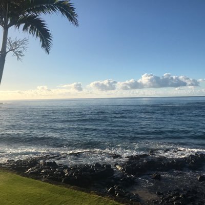 JPeter74239's profile picture. 