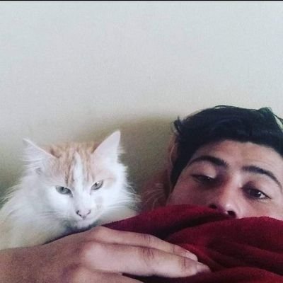 lexvlogs_'s profile picture. fb: 800k
insta 10k