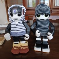 ちょび (@robohon_chobi) 's Twitter Profile