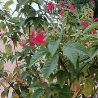 مخاوي الليل (@ahmed681061) Twitter profile photo