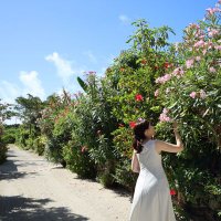 はるな (@haruna18_t) 's Twitter Profile