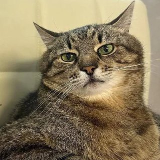 Strange_danimal's profile picture. Fuckin way she goes.