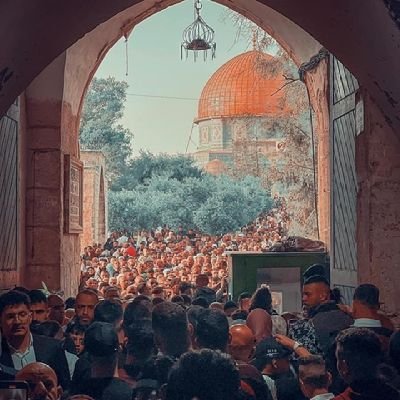 KazemMansour's profile picture. وَلَا تَقُولَنَّ لِشَيْءٍ إِنِّي فَاعِلٌ ذَلِكَ غَدًا ۝ إِلَّا أَن يَشَاء اللَّه