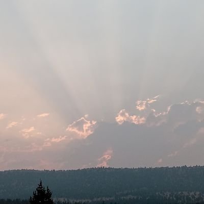 Habakkuk1987's profile picture. just a simple man doing his best! supporter of @xjustgabs #wizfam