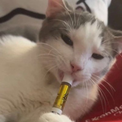 qphoward_'s profile picture. 