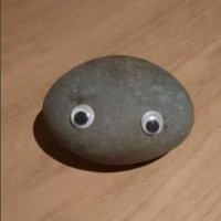 entropyVAL (@entropyval) 's Twitter Profile