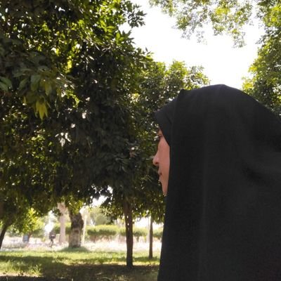 عاشق طبیعت ،کوهنوردی
https://t.co/1Z43qM0GVl