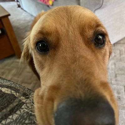 JohnGra62443457's profile picture. Happy, joyous and free……Trying to give it away…….God is the secret….