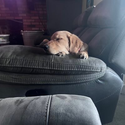 Jaimes0703's profile picture. 