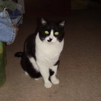 Doug (@1_savedby_grace) 's Twitter Profile