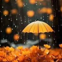 Fatima Khan. (@fatima01h) 's Twitter Profile