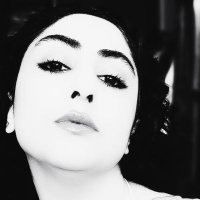 dorshidd (@dorshidd) 's Twitter Profile