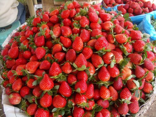 4evernorman's profile picture. 