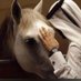 عبدالعزيز (@ywsfhmd9581) Twitter profile photo عبدالعزيز (@ywsfhmd9581) Twitter profile photo