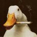 User (@yngfre) Twitter profile photo User (@yngfre) Twitter profile photo