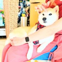 Neiro (@neirothedoge) 's Twitter Profile