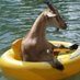 ZeeisGoat (@zeeisgoat) Twitter profile photo ZeeisGoat (@zeeisgoat) Twitter profile photo