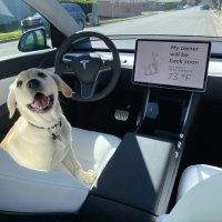 ์ฐจ๊ณก์ฐจ๊ณก_teslapuppy (@teslapuppy) 's Twitter Profile Photo ์ฐจ๊ณก์ฐจ๊ณก_teslapuppy (@teslapuppy) 's Twitter Profile Photo