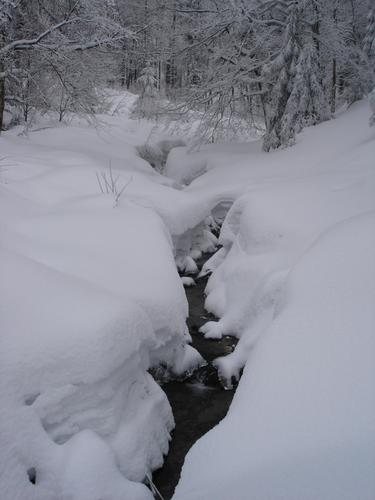 vosgesecologie's profile picture. Association Vosgienne de protection de l'Environnement