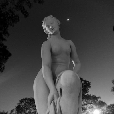 gonzafoutel's profile picture. esto no es teoría o práctica, esto es sopapo