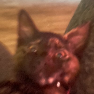 Nendo2k's profile picture. He/Him 24, Love gaming, sports, obsessed with music all genres, owner of several potentially questionable opinions, #phinsup #differenthere