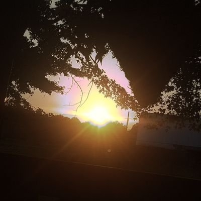 Emogirllovebrys's profile picture. 