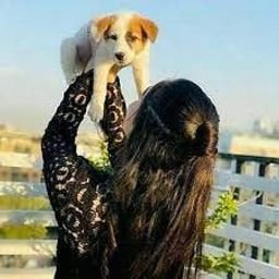 SeartharfAwcP's profile picture. 